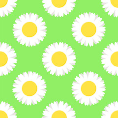 Wall Mural - White and yellow stylized chamomile flowers on green background. Vector seamless pattern. Best for textile, wallpapers, wrapping paper, package and your design.