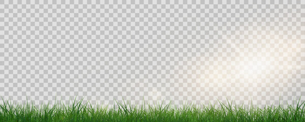 Wall Mural - Grass border, vector illustration. Vector grass, lawn. Grass png, lawn png. Green grass with sun glare.	
