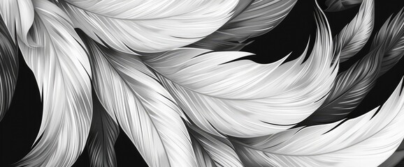 Wall Mural - Black And White Abstract Feathers, Cartoon