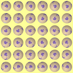 Poster - Collection of globes. South pole sphere view. Rotation step 10 degrees. Colored countries style.