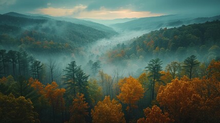 Wall Mural - Elevated shot of the Great Smoky Mountains in Tennessee