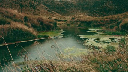 Canvas Print - River with green algae floating on it