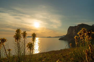 Wall Mural - A beautiful sunset over the ocean with a field of yellow flowers in the foreground. The sky is filled with clouds and the sun is setting, creating a serene and peaceful atmosphere.