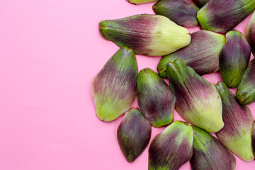 Wall Mural - Fresh green purple artichoke petals