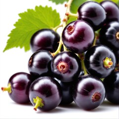 Wall Mural - Fresh black currant on white background.