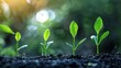 © AriyaniAI - Four small green plants sprout from the soil, illuminated by a soft golden light in the background.