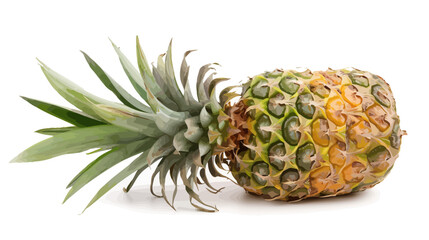 Bright tropical pineapple with fresh green crown isolated on white	