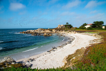 California coastline 