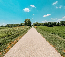 rural scene of a paved path through the countryside. green agricultural fields surround the scene. c