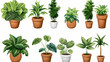 © ak159715 - Set of different plants in pots isolated on white background illustration
