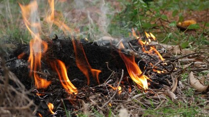 Canvas Print -  Wildfire in progress urgent need for firefighting measures