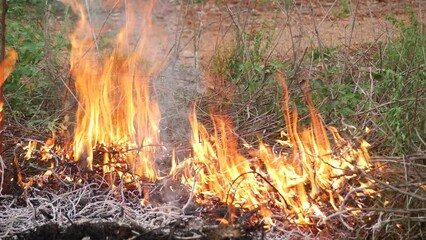 Poster -  Wildfire rages consuming dry brush and vegetation