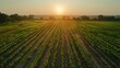 © TranNgoc - An aerial drone shot of a sprawling agricultural landscape, with fields of various crops, irrigation canals, and minimal farm structures. Minimalist and realistic, focusing on the vastness
