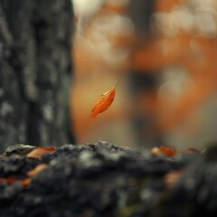 Frozen Moment of a Falling Autumn Leaf in Tranquil Suspension