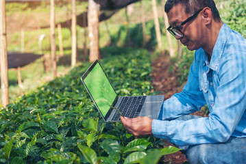 Wall Mural - Smart farmer using laptop in eco green farm sustainable quality control. Close up Hand typing laptop computer quality control plant tree. Farmer hands using technology in eco Farmland biotechnology