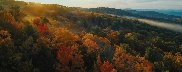 Aufkleber - Stunning aerial view of a colorful autumn forest with a sunrise casting golden light on the landscape, creating a serene and breathtaking scene.
