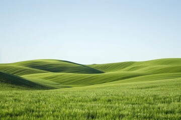 Sticker - A field of green grass under a clear blue sky, A serene landscape with rolling green grass under a clear sky