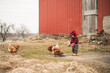 © Cavan Images - Toddler boy in red plaid jacket feeding chickens near a red barn