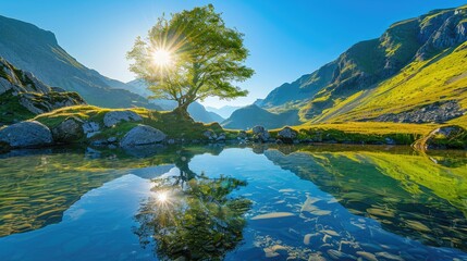 Wall Mural - Beautiful lake, sunlight shining through tree and mountains reflecting on water with blue sky, sunny summer day