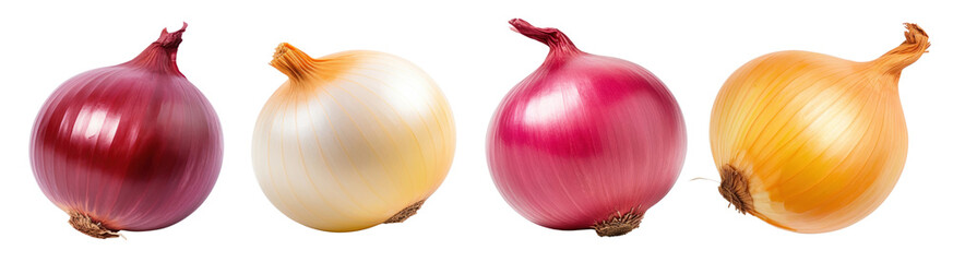 Wall Mural - Red onion vegetable shallot plant set