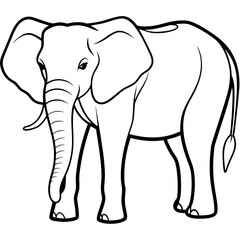 Asian elephant and African elephant vector line art and silhouette illustration