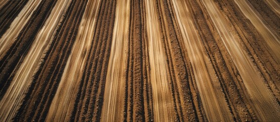Fototapete - Low level aerial image of a crop of potatoes in a ploughed arable field in the British countryside farmland. Copy space image. Place for adding text or design
