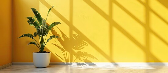 Aufkleber - yellow empty interior with plant. with copy space image. Place for adding text or design
