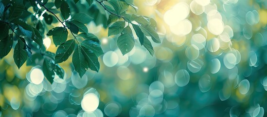 Wall Mural - Green leaves blur and blurred light bokeh. Abstract background and beautiful backdrop. Copy space image. Place for adding text or design