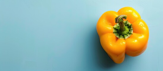Fototapete - sweet yellow pepper Isolated on pastel background.  Food. with copy space image. Place for adding text or design