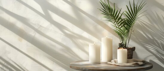 Poster - White candles on stand with plant in pot on the table. with copy space image. Place for adding text or design