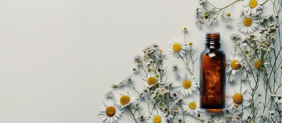 Leinwandbilder - Small bottle of homeopathic remedy surrounded by chamomile and tansy flowers. Medicinal herbs concept, alternative medicine. with copy space image. Place for adding text or design