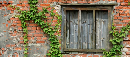 Poster - An old wooden window in a brick wall, overgrown with a green plant. with copy space image. Place for adding text or design