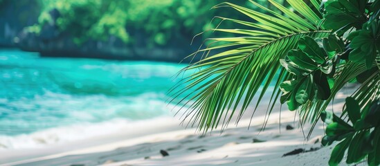 Poster - Travel and tour social media banner post template. Copy space image. Place for adding text or design