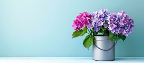 Poster - Beautiful hortensia flowers in can on stand indoors. with copy space image. Place for adding text or design