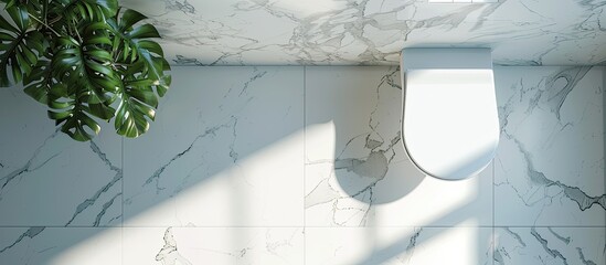 Poster - Top view of toilet bowl and bathroom . with copy space image. Place for adding text or design