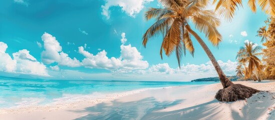 Fototapete - tropical paradise beach with white sand and coco palms travel tourism wide panorama background concept. Copy space image. Place for adding text or design