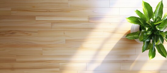 Poster - Hardwood maple viewed from above. with copy space image. Place for adding text or design