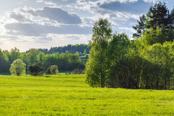 Wall Mural - rural russian landscape photo taken on a summer day