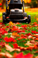 A lawnmower surrounded by vibrant autumn leaves on a grassy lawn. The focus is on the colorful leaves in the foreground