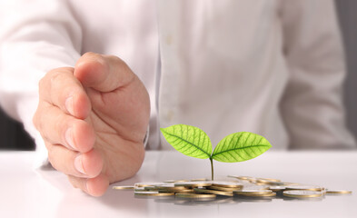 Wall Mural - Businessman holding plant sprouting from a handful of coins