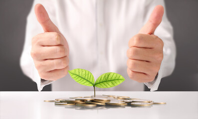 Wall Mural - Businessman holding plant sprouting from a handful of coins