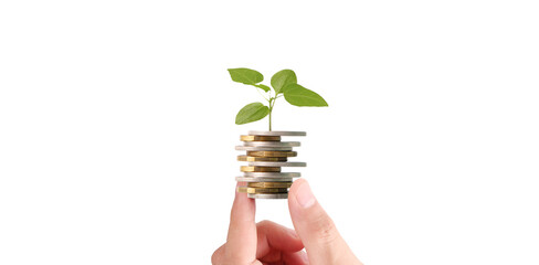 Wall Mural - Businessman holding plant sprouting from a handful of coins