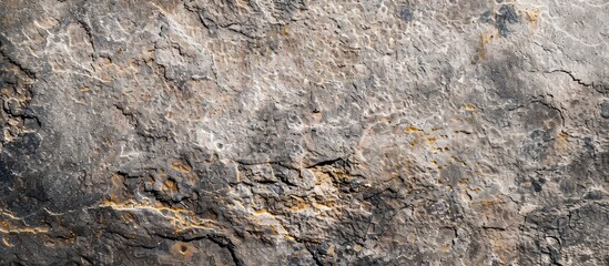 Wall Mural - the surface of granite stone. with copy space image. Place for adding text or design