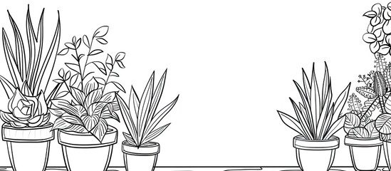 Wall Mural - handdrawn doodle indoor plant garden potted plant for room decoration line outline. with copy space image. Place for adding text or design