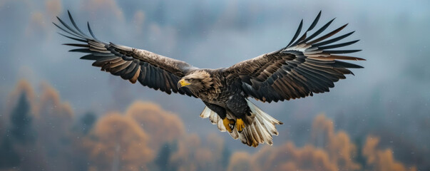 Wall Mural - A majestic eagle soaring through the sky, its wings outstretched as it surveys the landscape below.