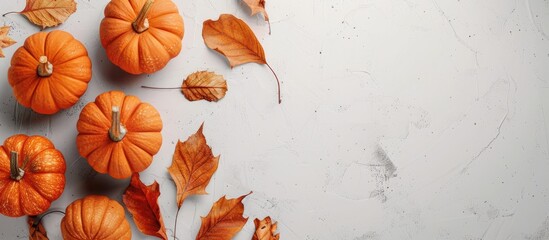 Sticker - Autumn composition. Pumpkins, dried leaves on pastel gray background. Autumn, fall, halloween concept. Flat lay, top view, copy space. Copy space image. Place for adding text or design