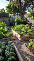 lush green garden with wooden raised beds and fresh vegetables in a backyard