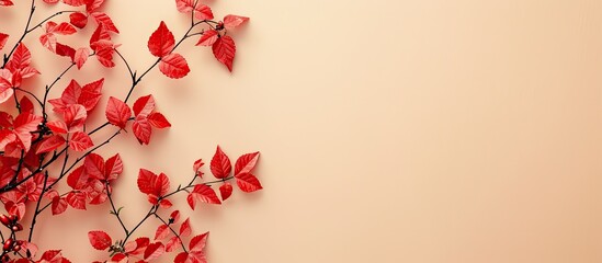 Wall Mural - RUomposition of branches and red leavese for halloween on pastel background. Flat lay. Halloween concept. Copy space image. Place for adding text and design