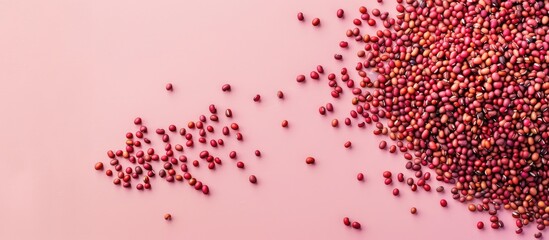 Wall Mural - red azuki beans on pastel background food isolated. copy space image. place for adding text and desi