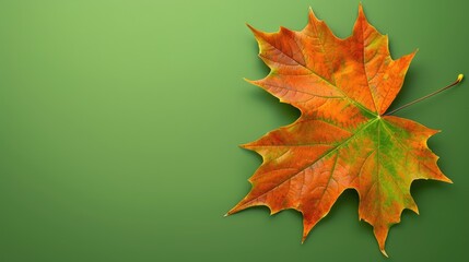 maple leaf on green backdrop with space for text